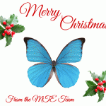 Merry Xmas From The MTE Team
