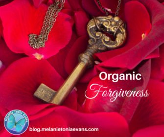 organic-forgiveness-square