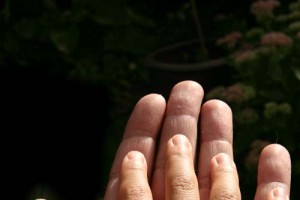 Transforming From The Wounded Child Into The Healthy Loving Adult
